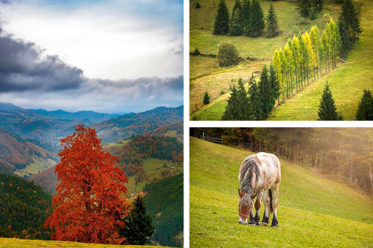 Toamna la Arieșeni