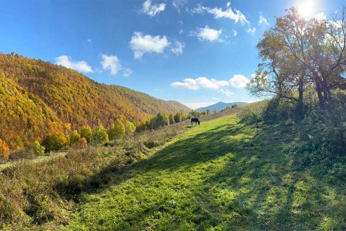 Herbst im Landkreis Cluj