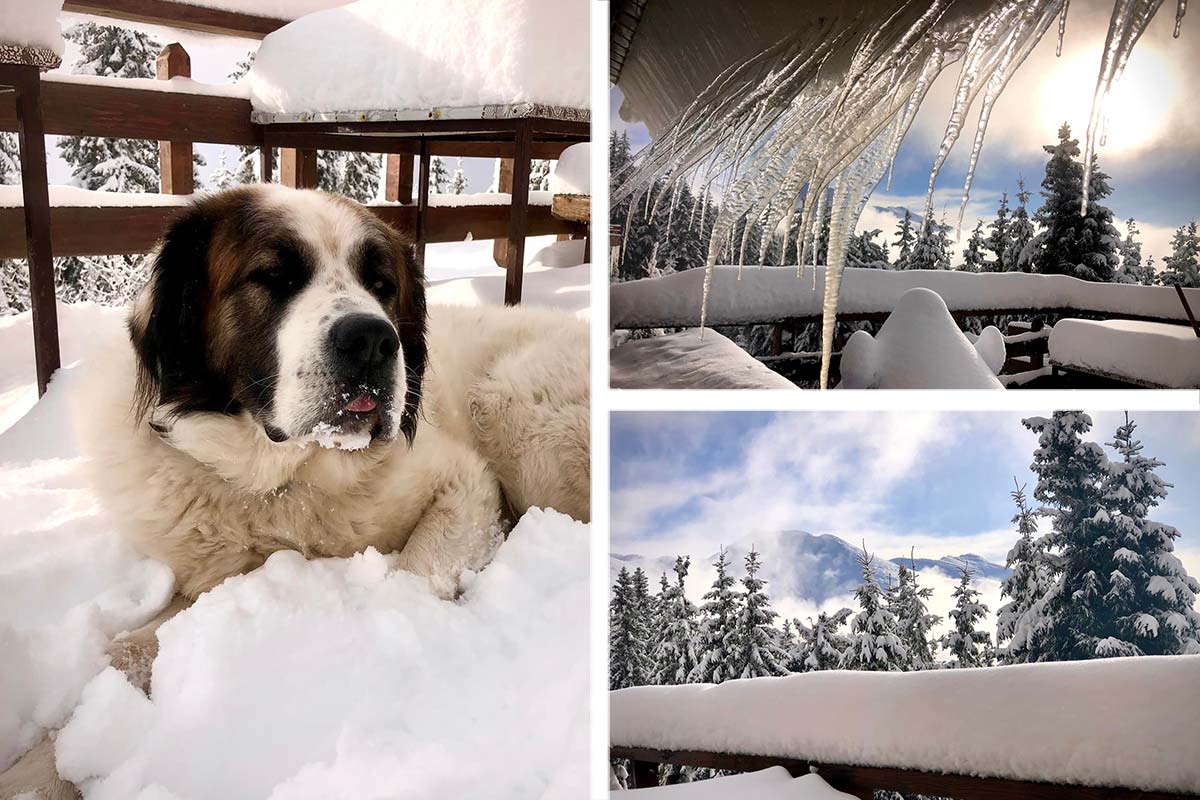 Und draußen liegt der Schnee 