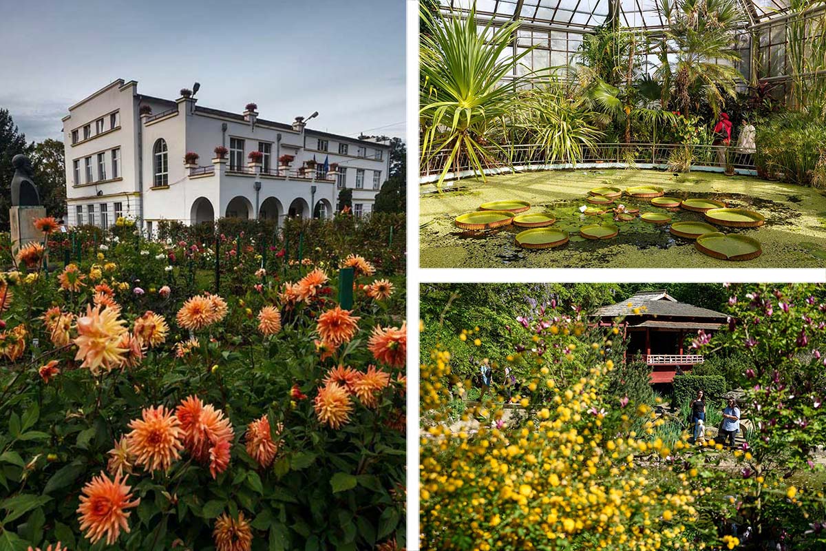 Botanischer Garten in Cluj Napoca