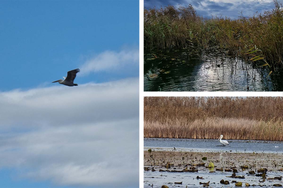 Das Donaudelta … Winterzeit