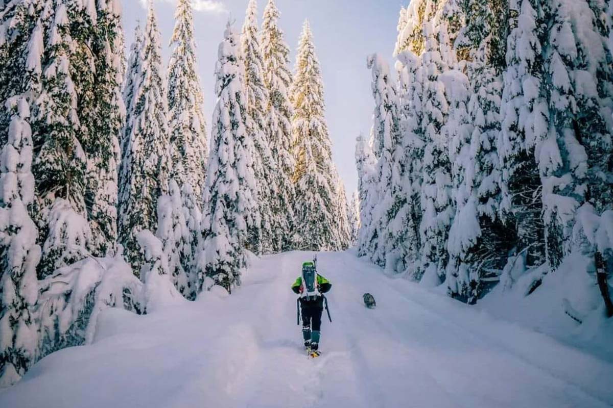 Wunderbar … das Apuseni Gebirge 