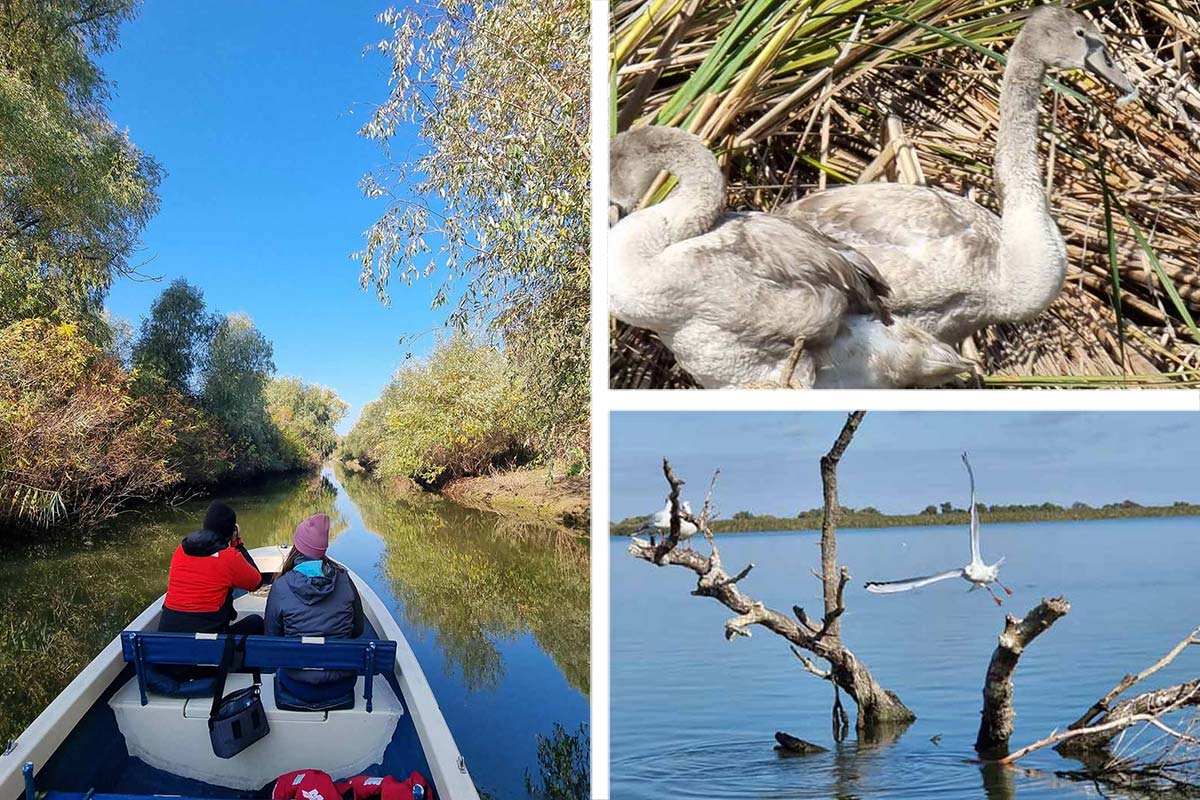 Bald wieder … Ausflüge in´s Delta der Donau