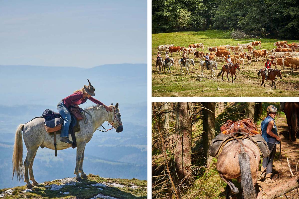 Einwöchiger Wanderritt „Auf den Spuren der Bären“ 