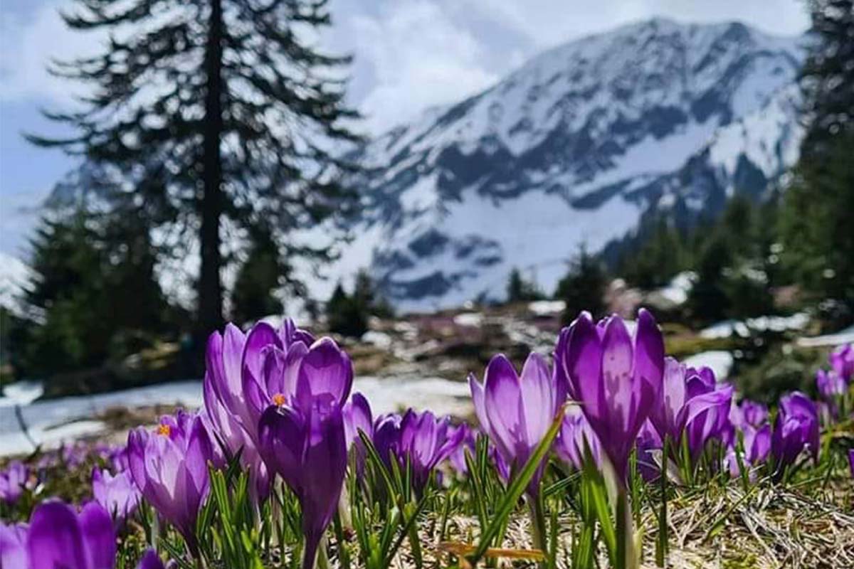 Făgăraș-Gebirge