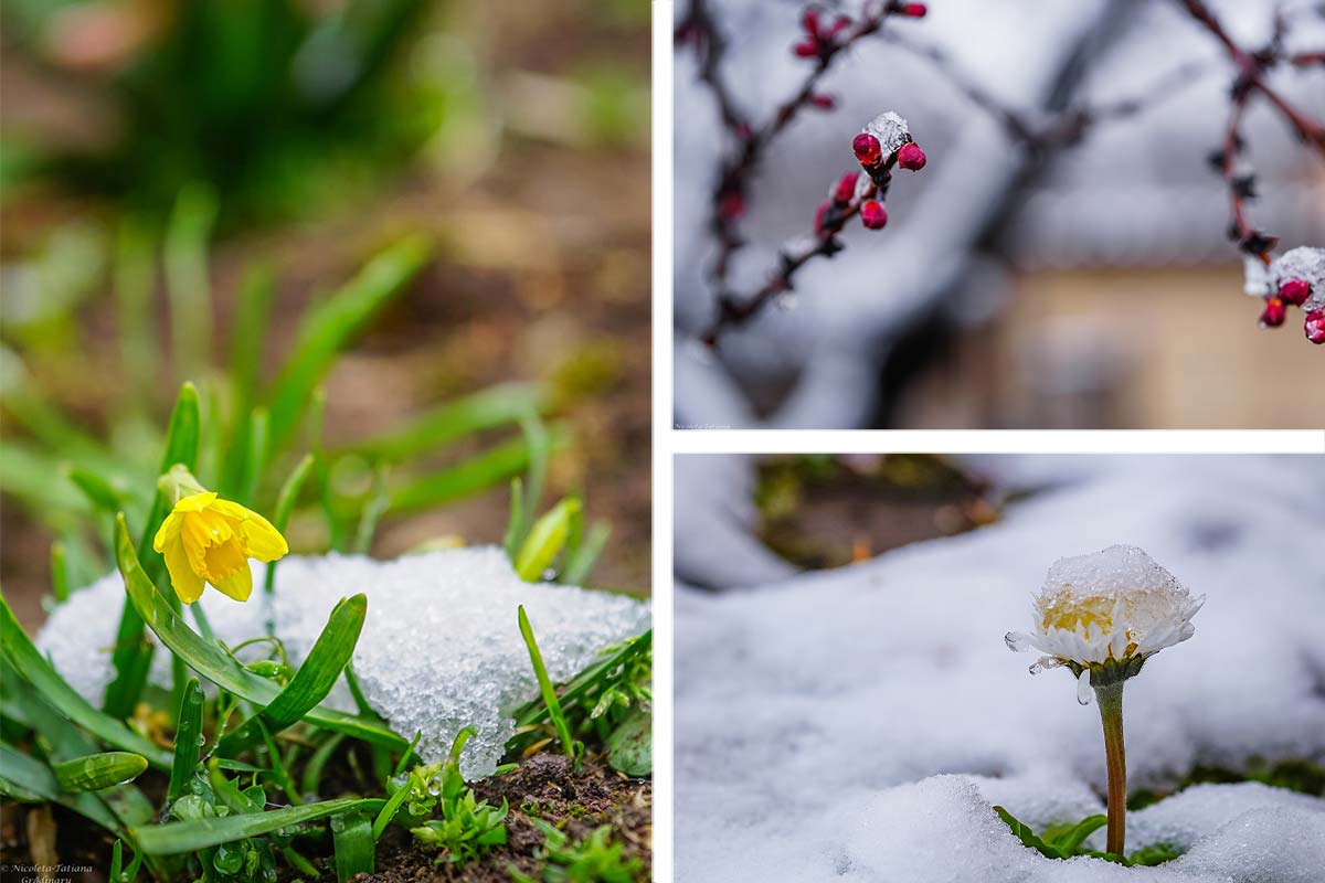 Frühlingserwachen im März