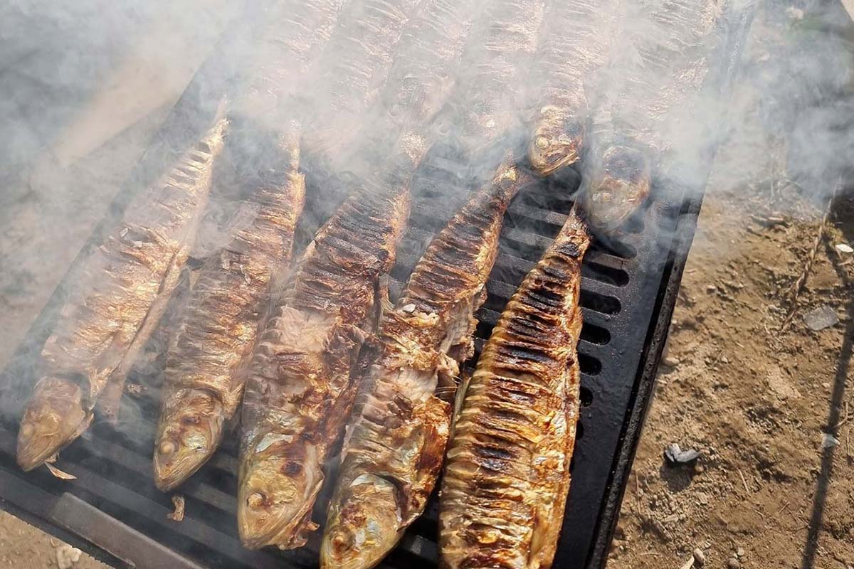 Spring and fish