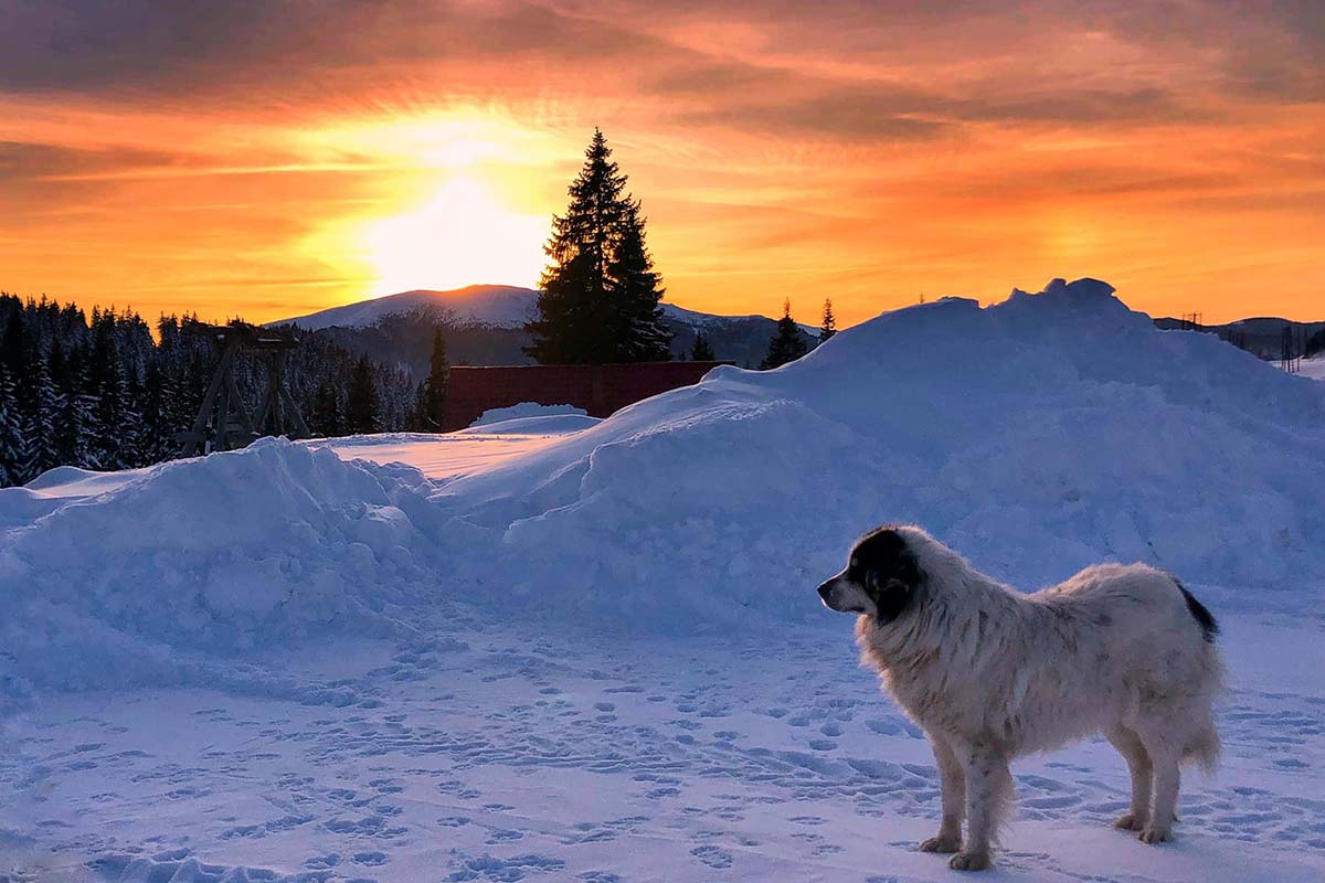 Sonnenaufgang im Rarău Gebirge