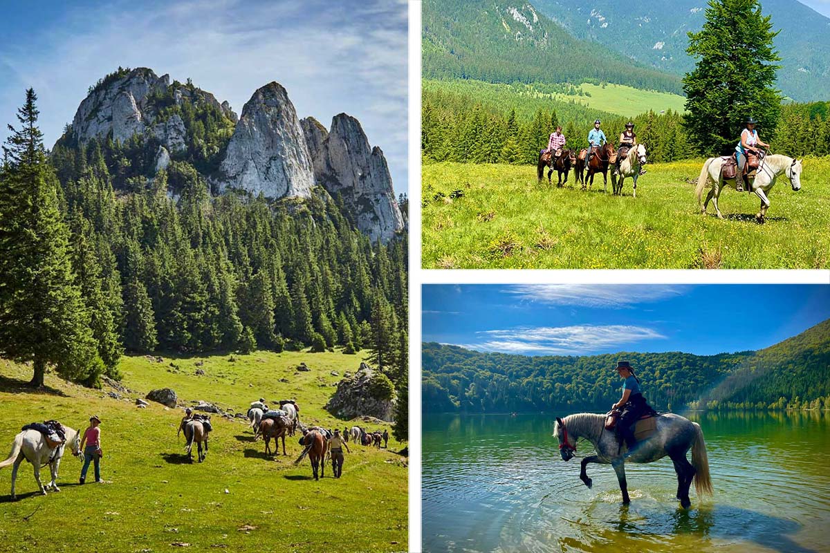 Reiturlaube & Reiten lernen