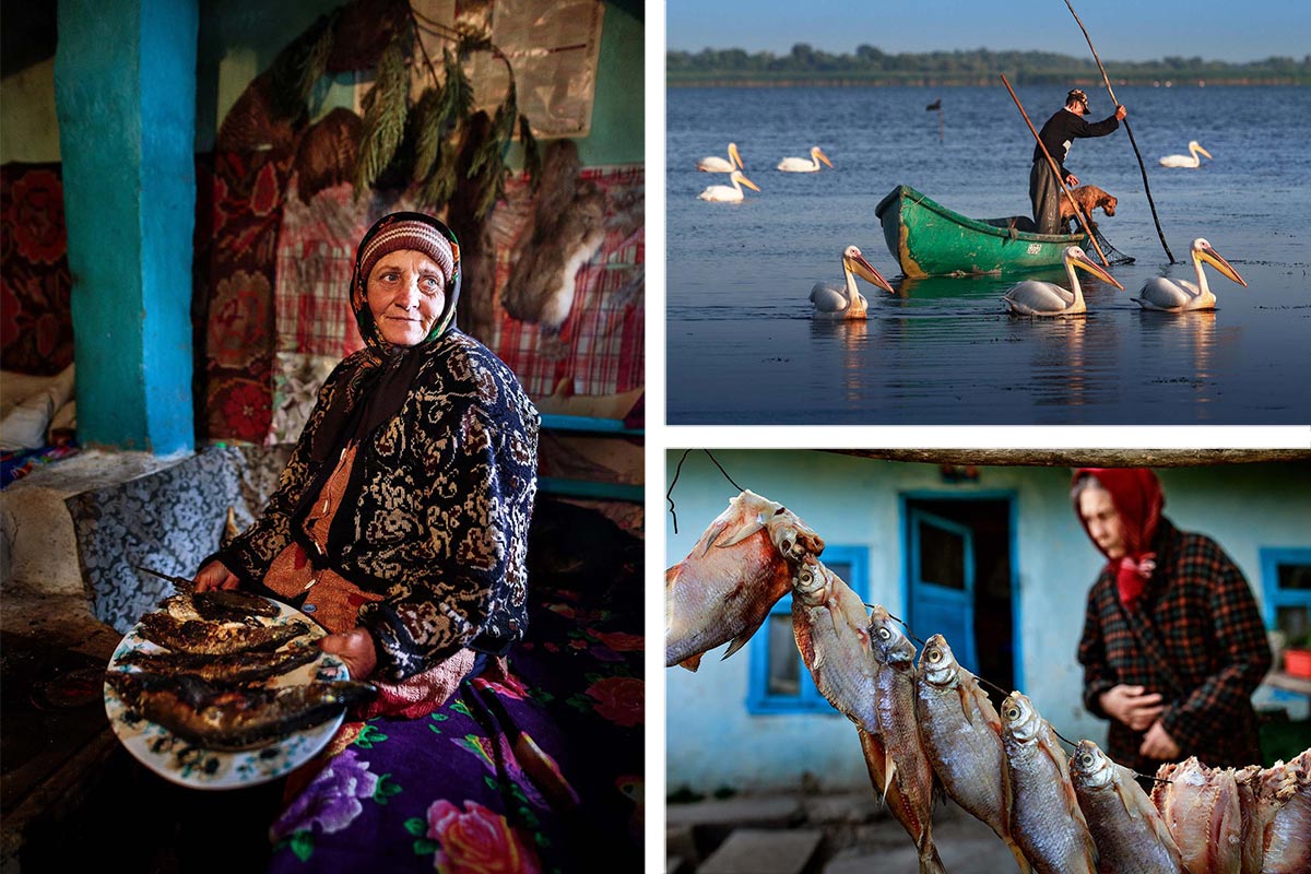The Danube Delta