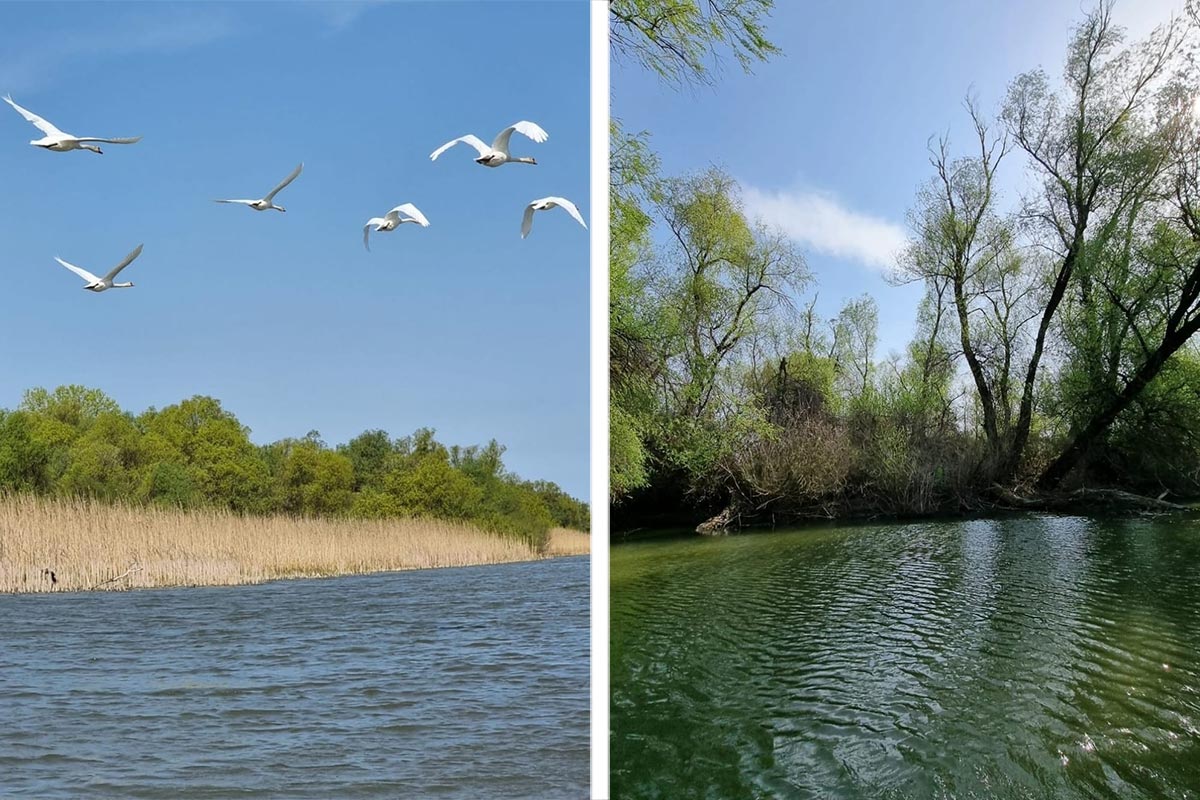 Das Donaudelta erwacht