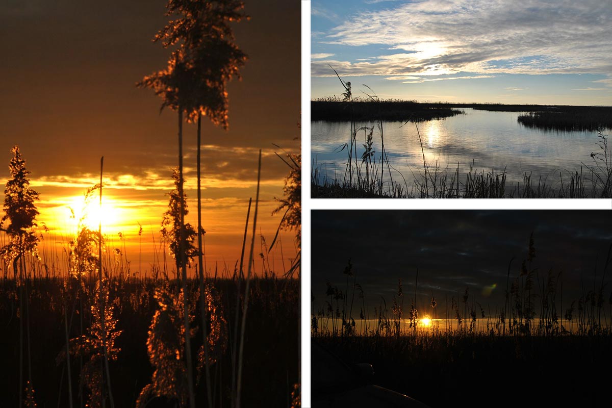 Abendstimmung im Donaudelta 