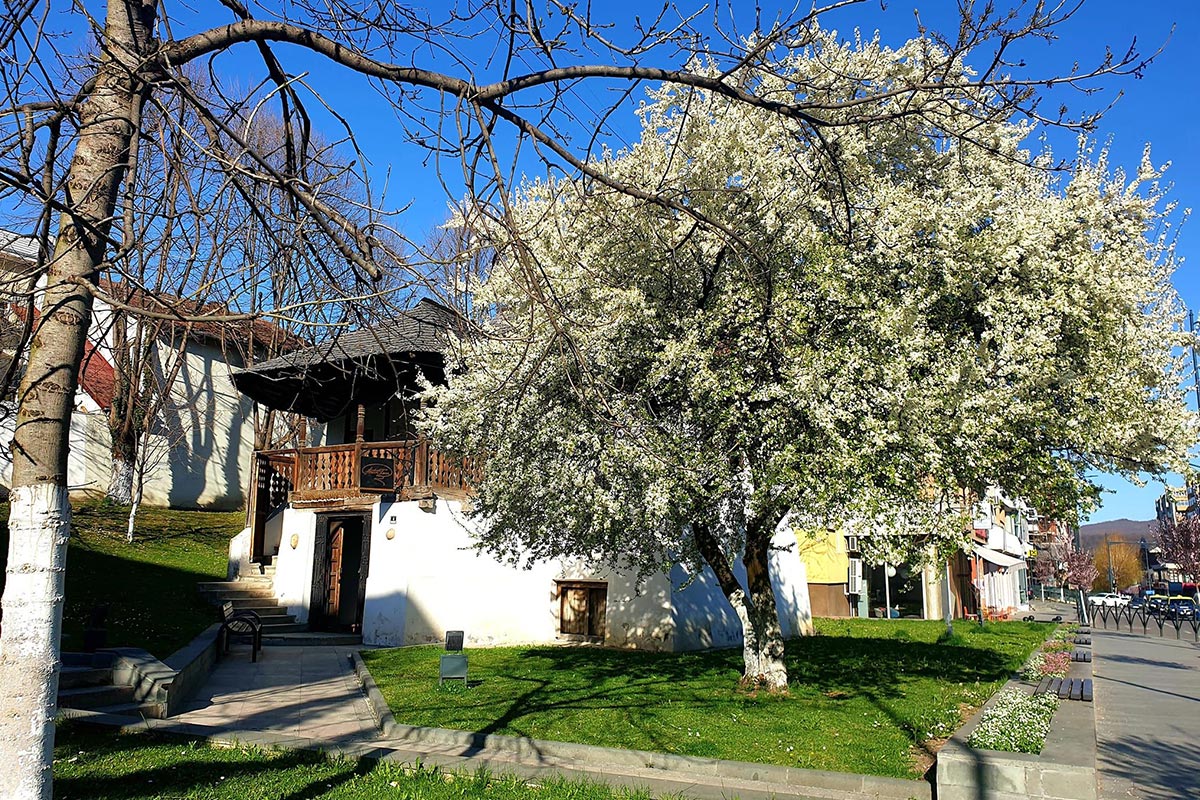 Casa Memorială Anton Pann, județul Vâlcea