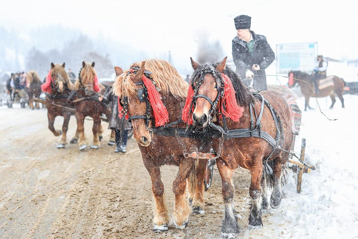 Parada cailor în Moldova 