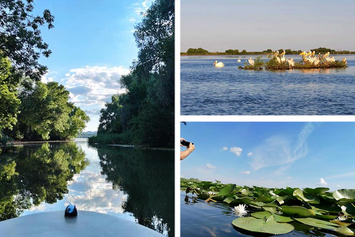 Mit dem Schiff im Donaudelta - JETZT