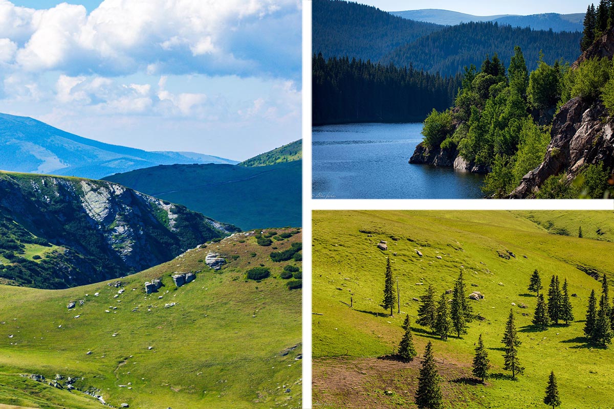 Transalpine - nature, nature and again nature