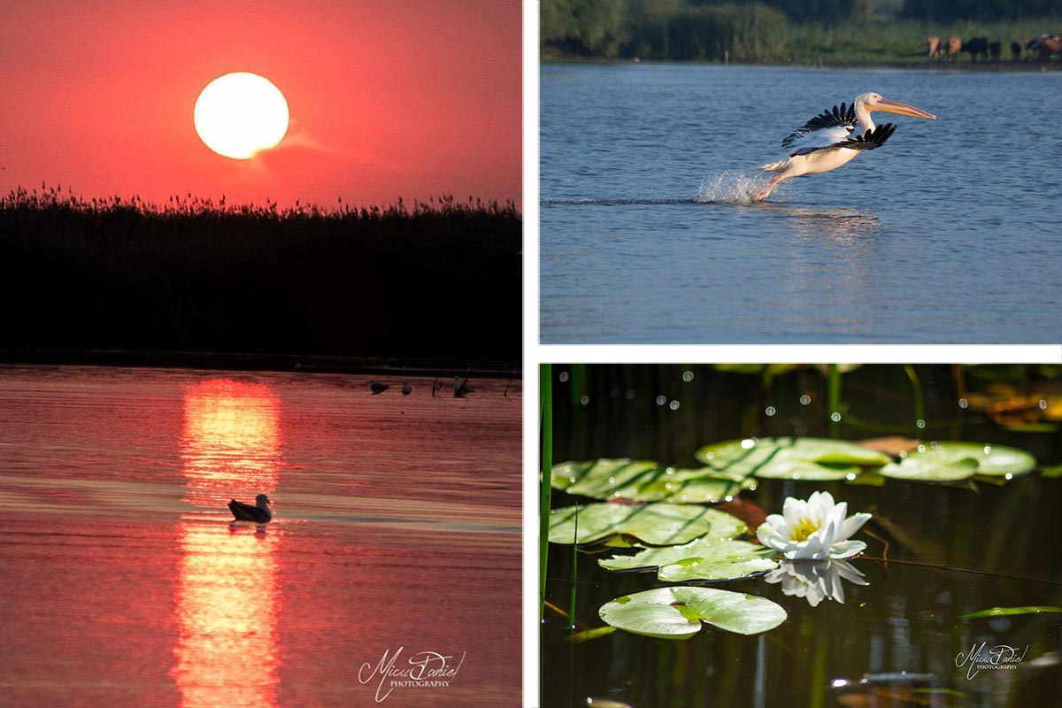 Donaudelta - Naturschutzgebiet und Biosphärenreservat