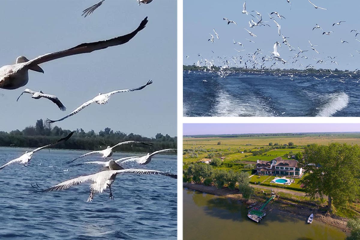 Danube Delta 