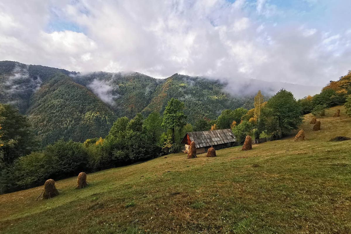 Brezoi în Carpații Meridionali