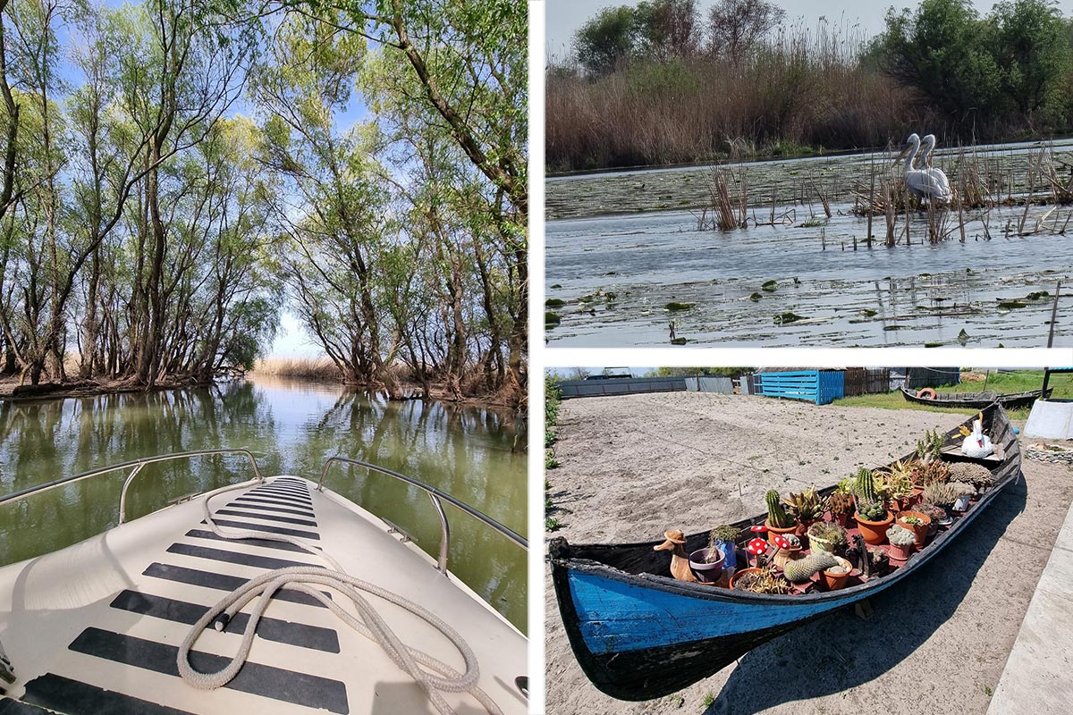 Touren / Ausflüge im Donaudelta