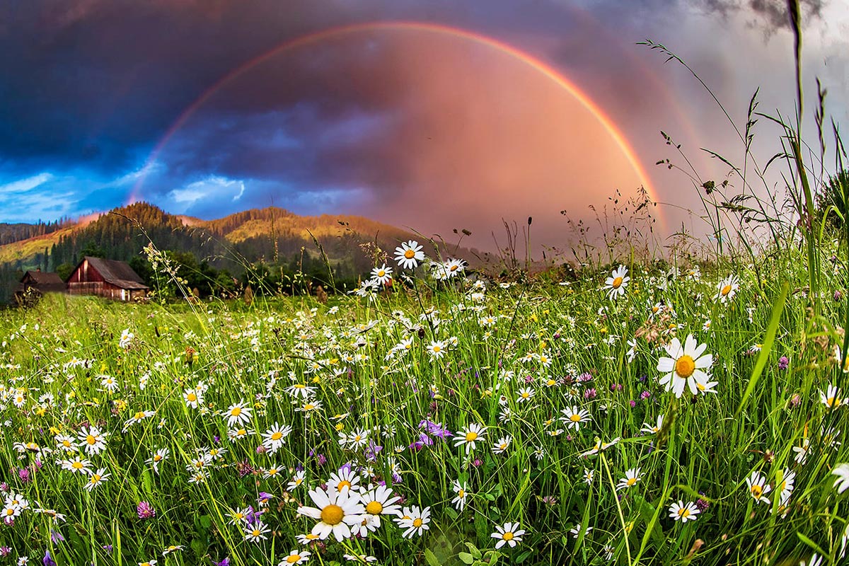 Spring in Bucovina