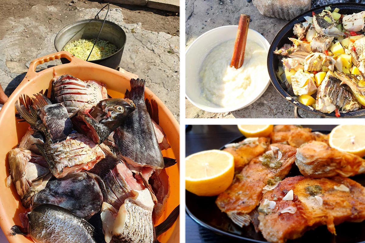 Fish, fish and fish - Traditional cuisine in the Danube Delta