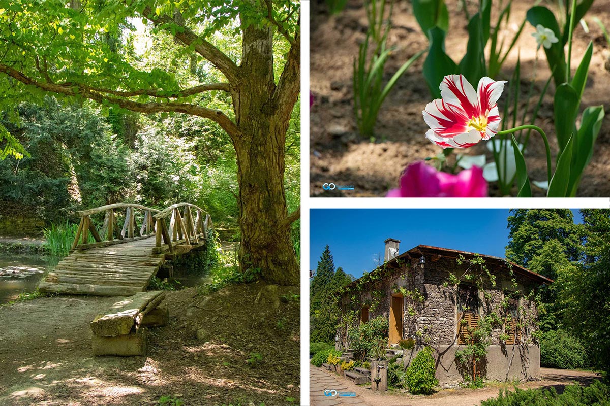 Frühlingsspaziergang im Park Dendrologic Simeria