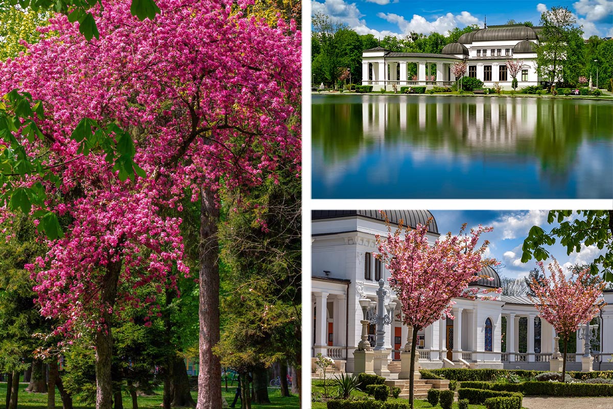 Der Central Park in Cluj-Napoca