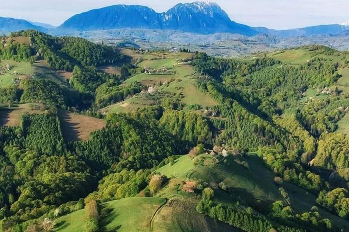 Comuna Holbav | județul Brașov