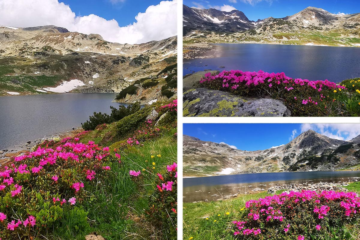 Lacul Bucura, Hunedoara