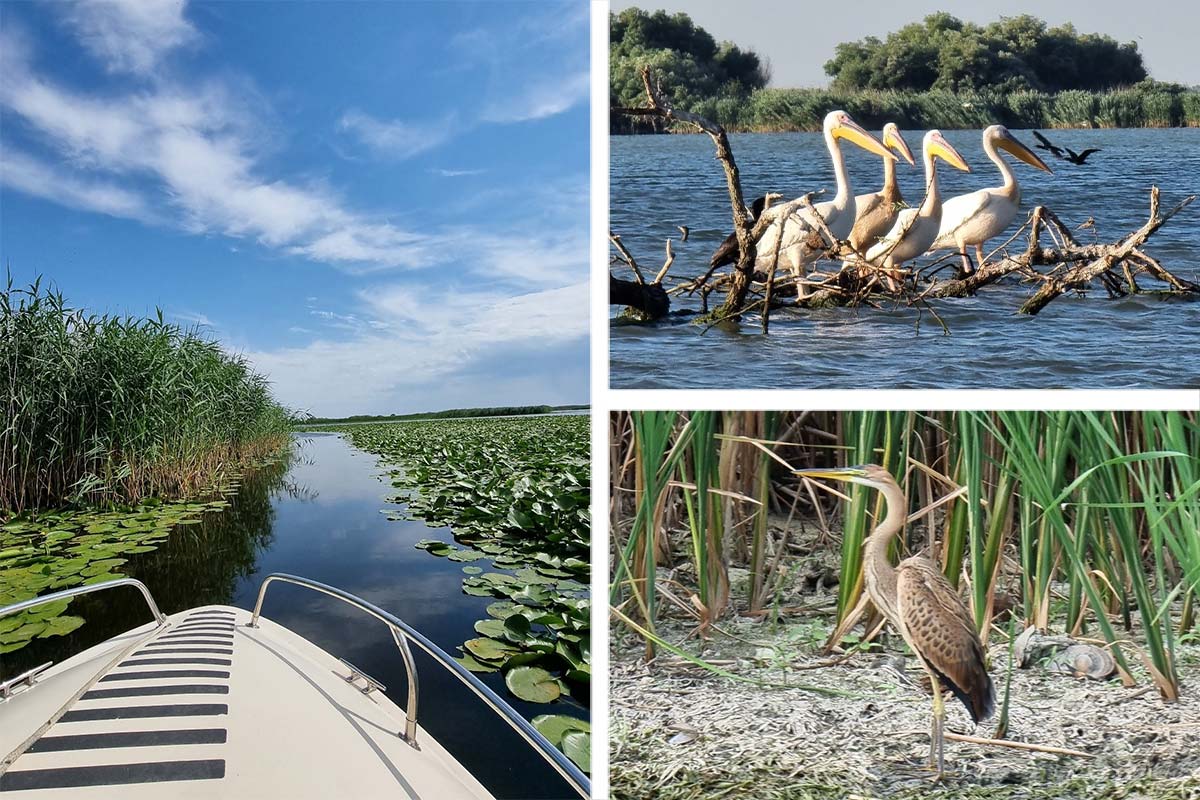 Das Donaudelta ... immer wunderschön