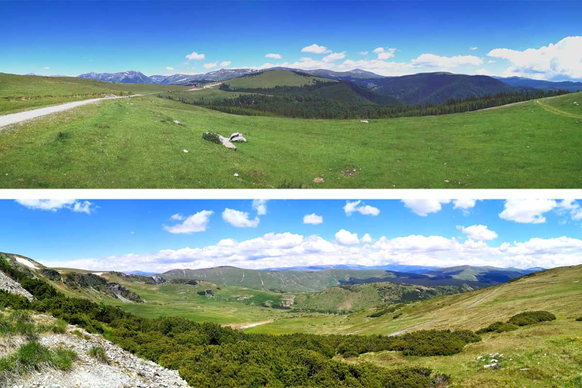 Transalpina or 