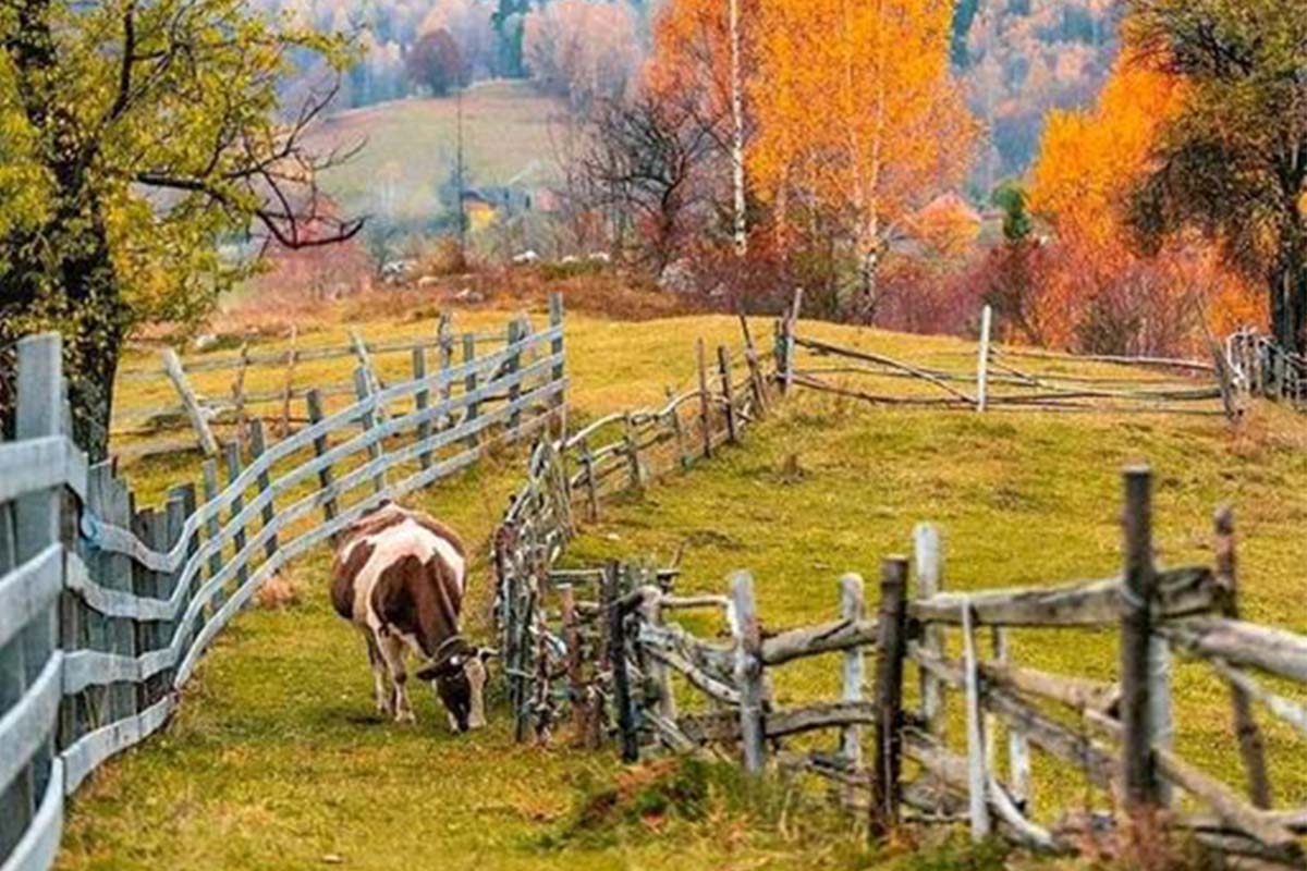 Toamna la Măgura, Transilvania