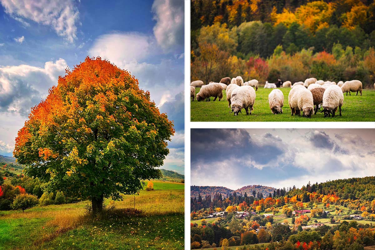 Toamna în Bucovina