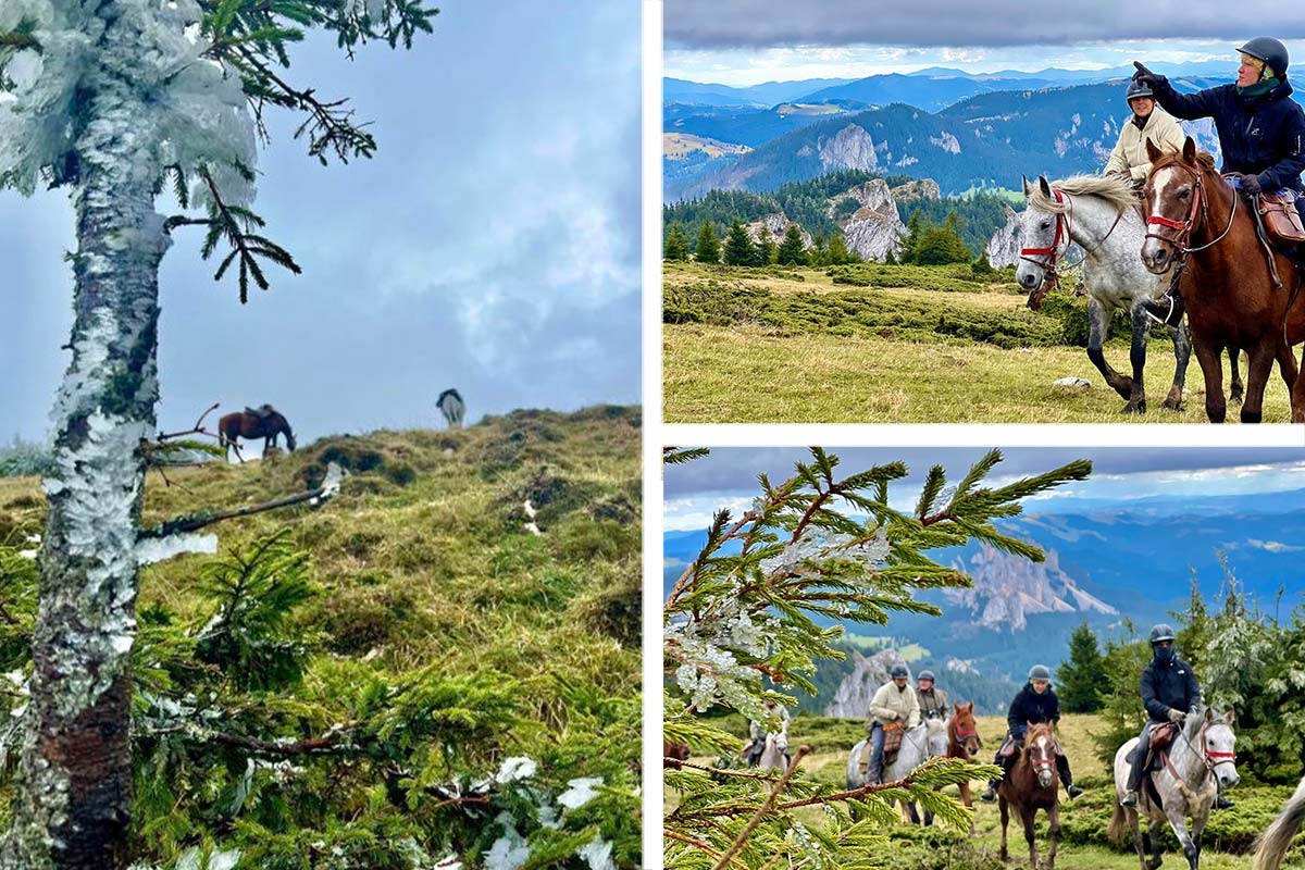 Wanderreiten in den Karpaten Rumäniens