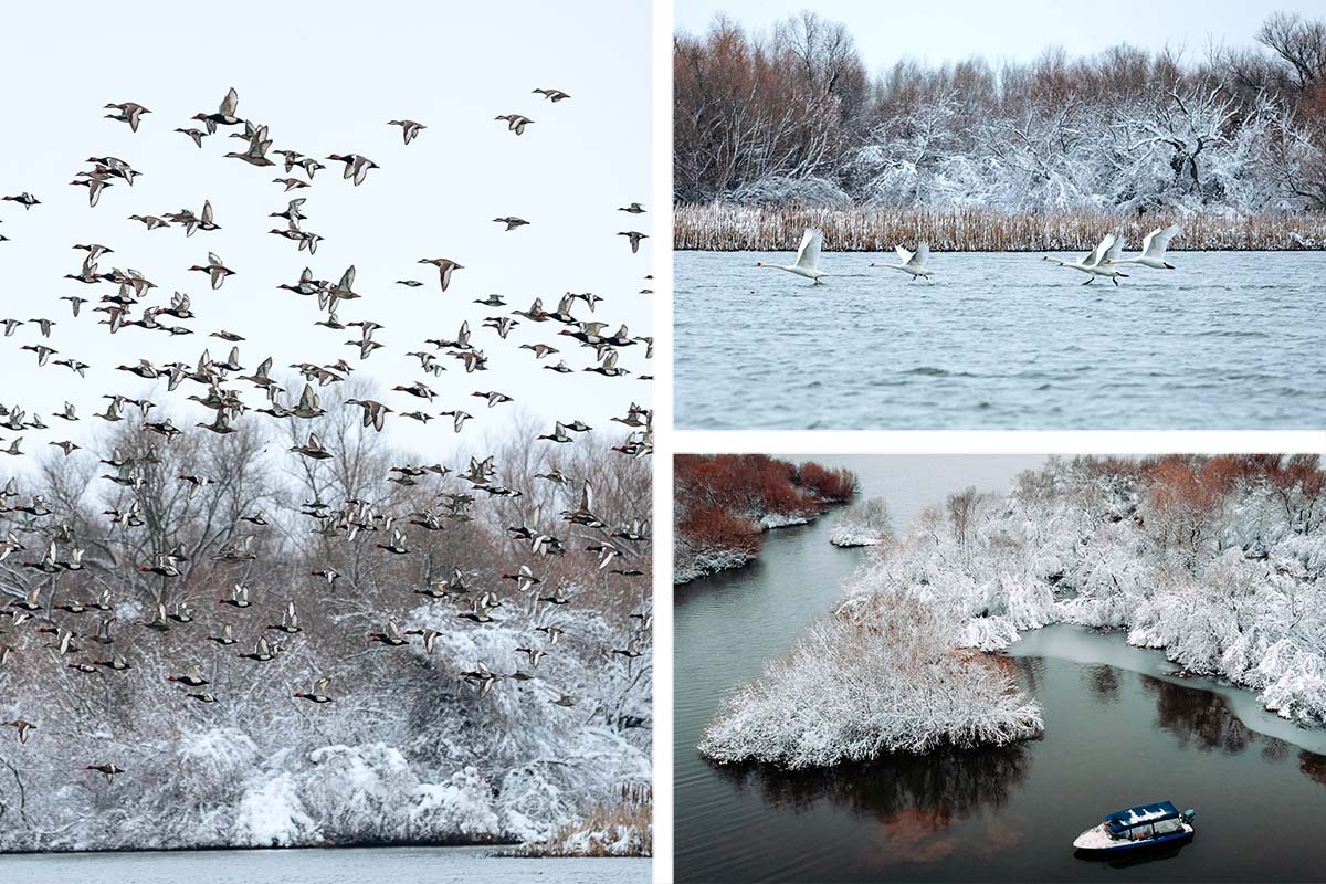 Without words... Winter in the Danube Delta