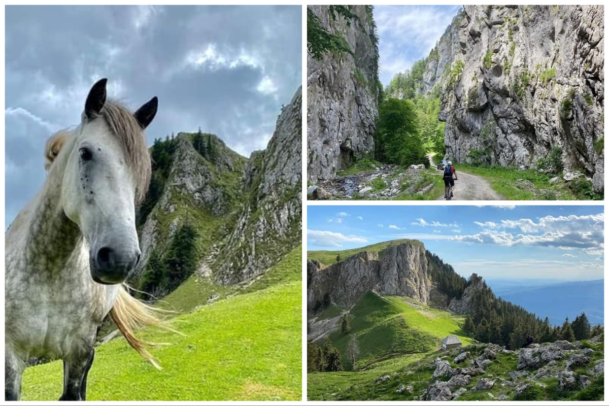 Natură, natură și iar natură...