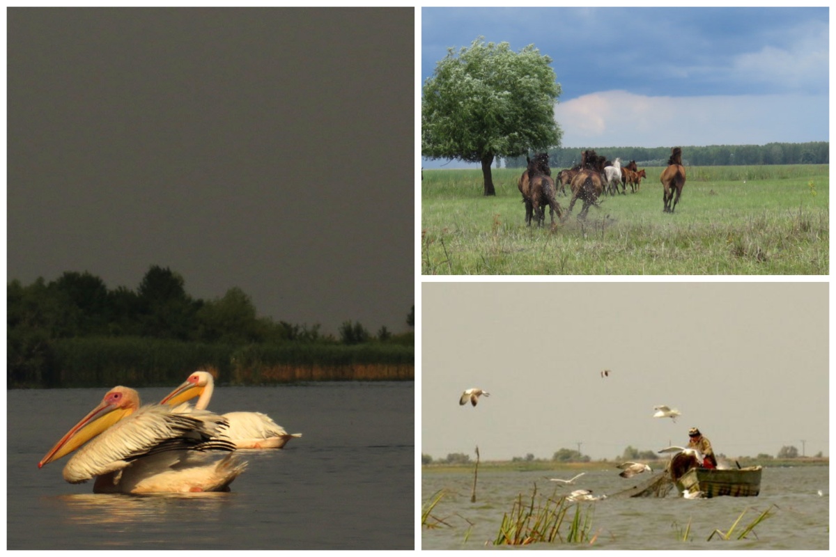 Das Donaudelta und die Stadt Sulina