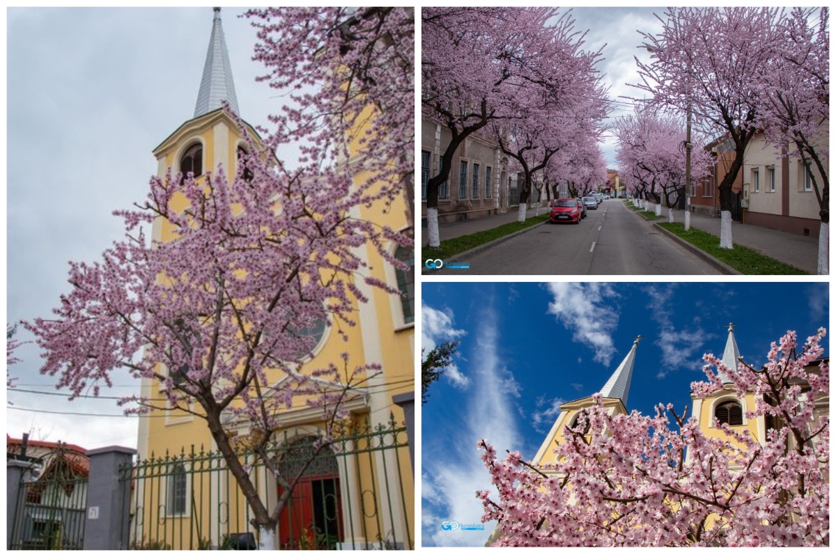 Frühling in der Stadt Hunedoara