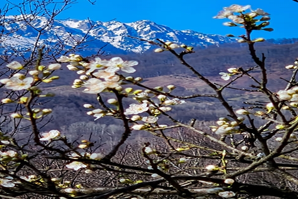 Frühling im Buila Vanturarita Nationalpark