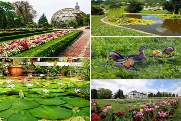 Botanical Garden from Jibou