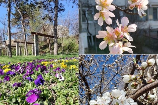 Beginning of spring in Galați