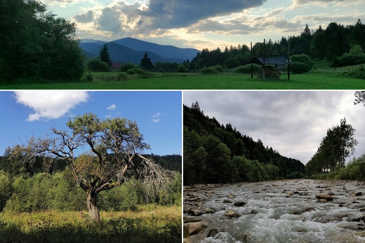 Falcău, Bucovina (Bucovina)... Natura minunata