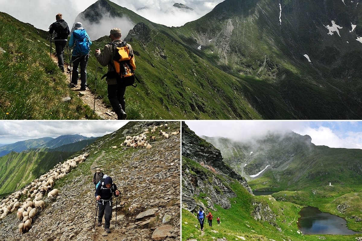Trekkingtouren im Retezat Gebirge