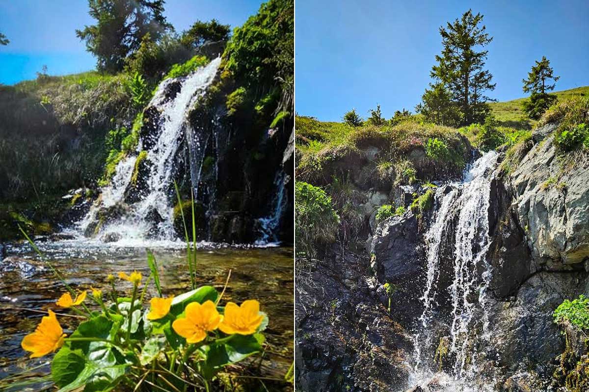 Capatanii Gebirge | Landkreis Alba und Valcea