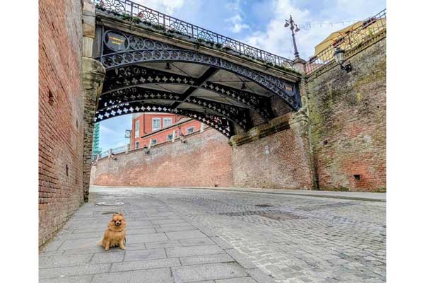 Sibiu / Hermannstadt | The Bridge of Lies & Donna