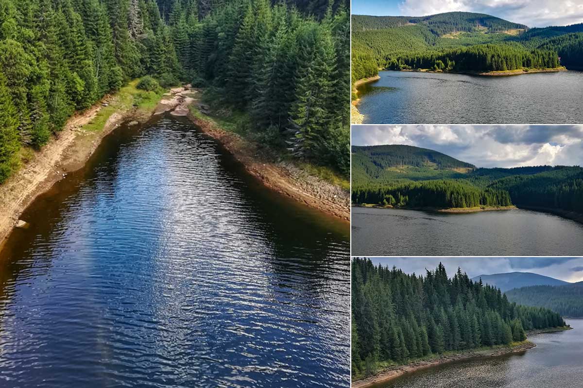 Lake Oasa | Transalpina in Summer