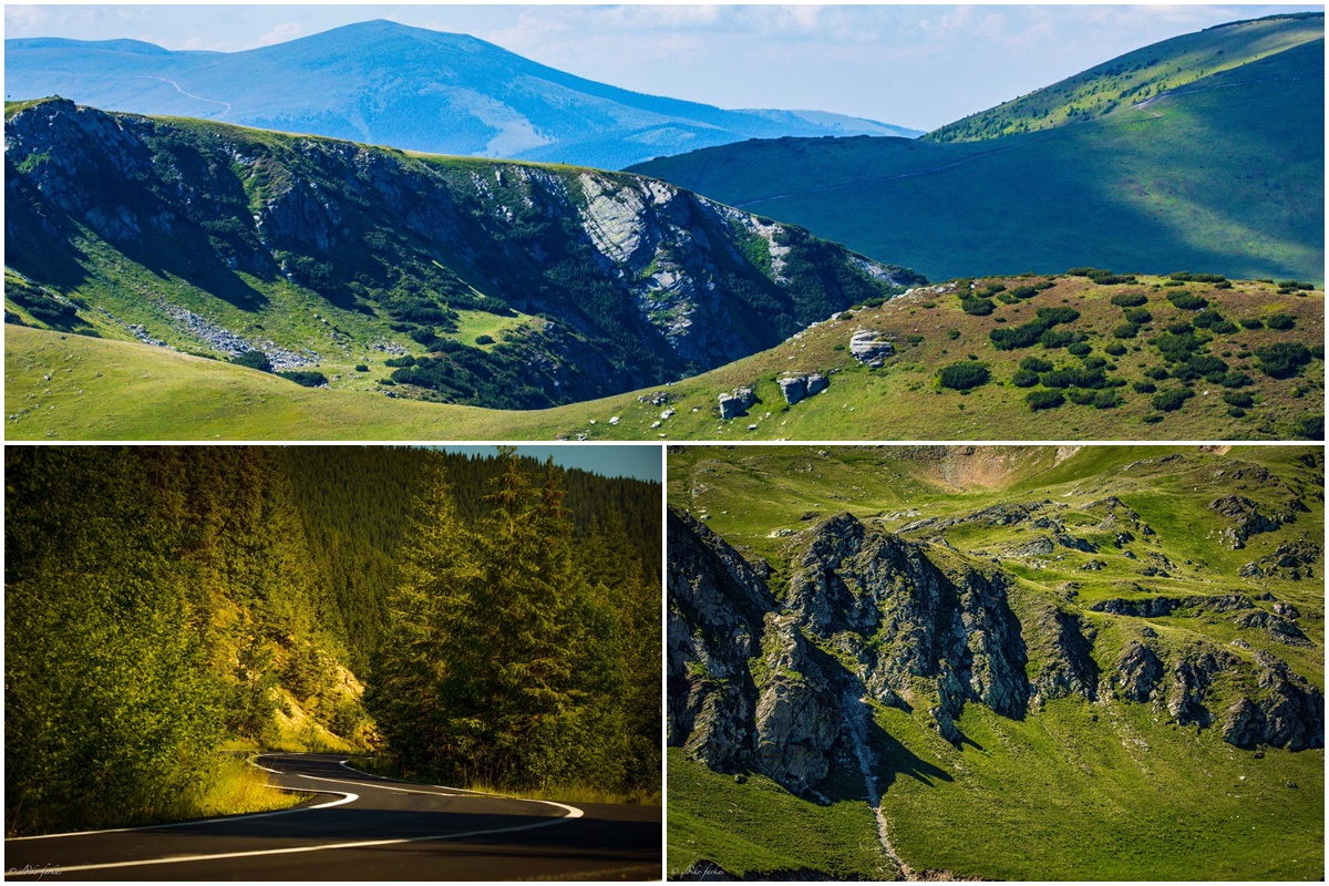 In the footsteps of Transalpine - nature, nature and ... nature