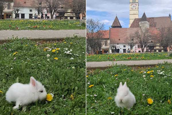 288aky0rx7iy04btxidvnb68rrnzuf