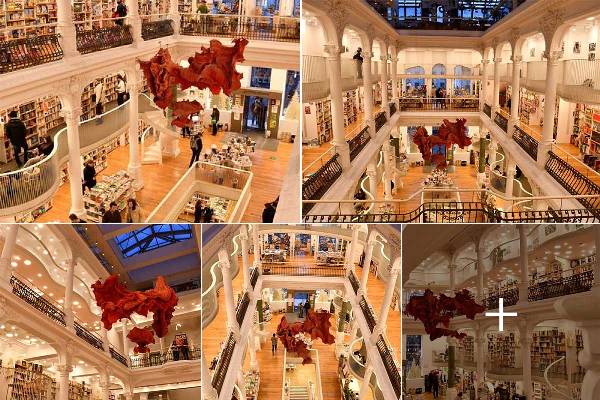 2dc42q7yd4mnb8asoukgomt1004ji1